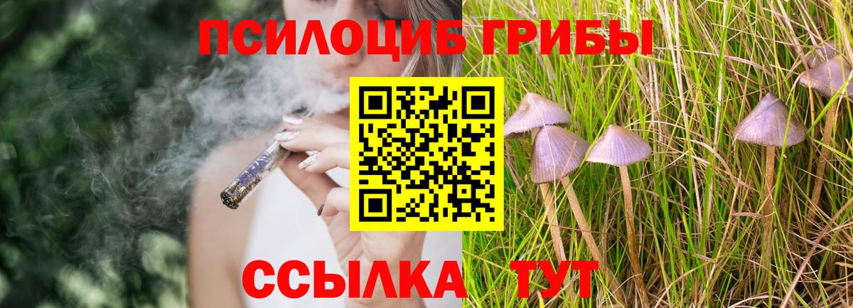 Галлюциногенные грибы Psilocybe  Вход с VPN  наркошоп  Ноябрьск 